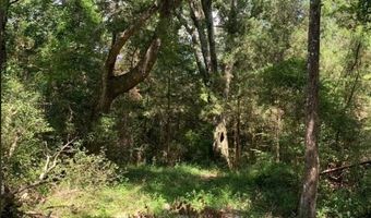 000 Mt Pleasant Ln SE, Bogue Chitto, MS 39629
