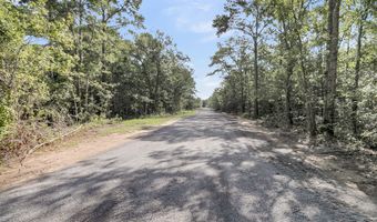Lot 5 Giddyup Lane, Awendaw, SC 29429