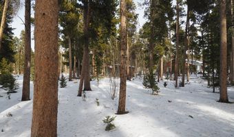 Long Trail Rd, Black Hawk, CO 80422
