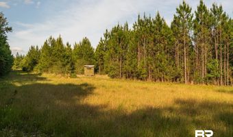 Flowers Road, Bay Minette, AL 36507
