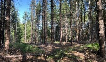 NW LODGE Rd, Banks, OR 97106