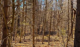 TM 407 L 35 Shem Valley Road, Alexandria, NH 03222