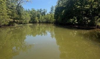 847 Englewood Dr, Abbeville, AL 36310