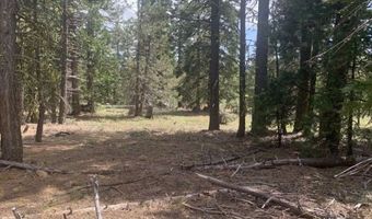Railroad Flat Dr, Alturas, CA 96101
