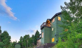 1095 Quartzville Rd, Alma, CO 80440