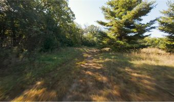 17994 Michael Ave, Viking, MN 55033