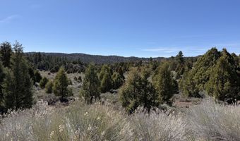 4129 N Uintah Dr, Alton, UT 84710