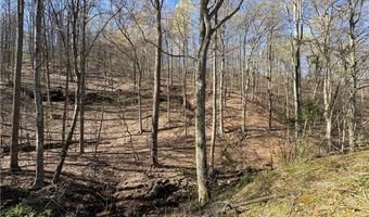 92 Frank Fork Rd, Alkol, WV 25501