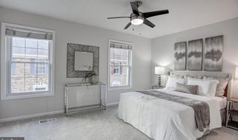 927 S ROLFE St 2, Arlington, VA 22204