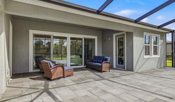 5254 WOLF CREEK Dr, Apollo Beach, FL 33572
