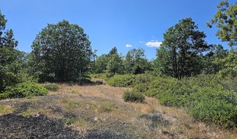 67 TIMBER Ln, Bickleton, WA 99322
