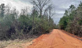 21000 Block Highway 21, Beatrice, AL 36425