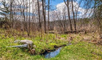 20008 County 84, Akeley, MN 56433