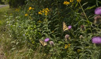 213 Patterson Creek Dr, Alderson, WV 24910