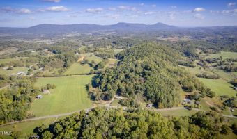 Lot 8 & 11 Davis Valley Road, Afton, TN 37616