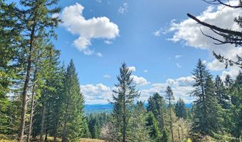 BOLTON HILL RD S, Veneta, OR 97487