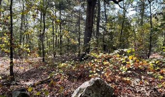 Tract 52 E 1885 Road, Antlers, OK 74523