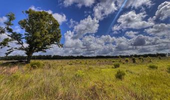 7009 129 Hwy, Bell, FL 32619