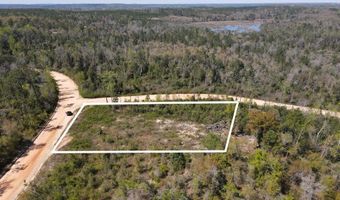 Powder Circle, Alford, FL 32420
