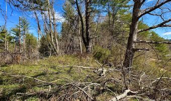 Mitchell Avenue, Bakersville, NC 28705
