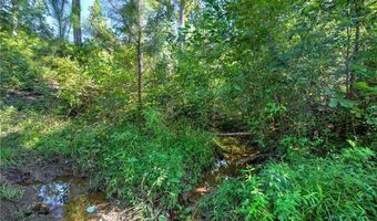 3931 Upper Bethany Rd, Ball Ground, GA 30107