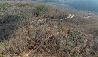 700 Acres Puncheon Creek Ln, Allred, TN 38542