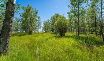 340 Holt Dr, Bigfork, MT 59911