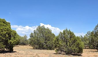 3200 W Poppy Rd, Ash Fork, AZ 86320