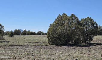 Ten Tanks Rd lot 6, Ash Fork, AZ 86320