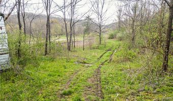 47691 E Captina Highway Rd, Alledonia, OH 43902