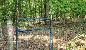 138 Stooksbury Ln, Andersonville, TN 37705