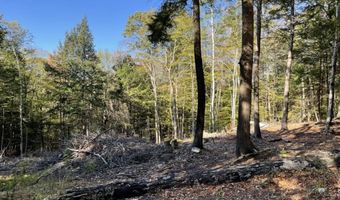 341 Perkins Hill Rd Lot 7, Alexandria, NH 03222