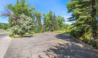 202 Aspen Airport Business Ctr, Aspen, CO 81611