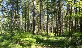 Tunnel Tract Parcel3, Banks, OR 97106