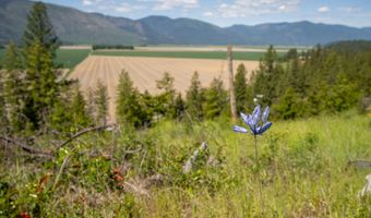 NNA This Way, Bonners Ferry, ID 83805
