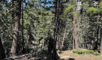 El Vado Way lot 1662, Angel Fire, NM 87710