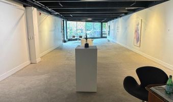 620 E Hyman Ave 2, Aspen, CO 81611