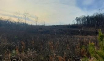 85 6+/- Acres County Road 2291, Booneville, MS 38829