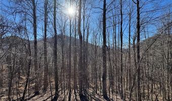 209 Hump View Trl, Banner Elk, NC 28604