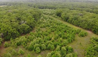 Lot 25 Rains County Road 2610, Alba, TX 75410