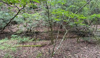 Hall Hollow Road, Austinville, VA 24312