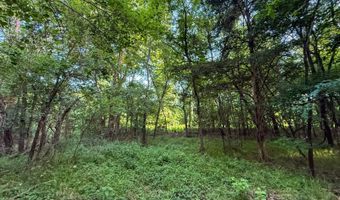 Tract 8 Highway 70, Bennington, OK 74723