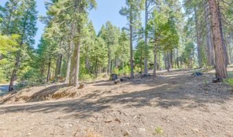 1694 Shoshone Dr, Camp Connell, CA 95223