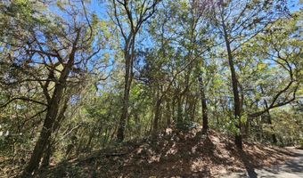 39 Fort Holmes Trl Lot 705, Bald Head Island, NC 28461