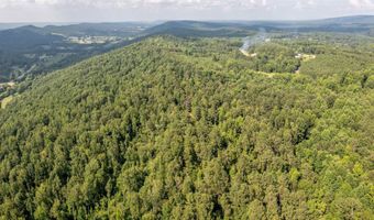 50 Acres Scenic Hwy, Attalla, AL 35954