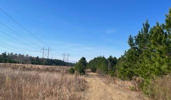 1300 Red Oak Rd, Barnwell, SC 29812