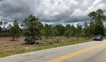 22563 NW Lake Mckenzie Blvd, Altha, FL 32421