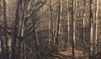 3129 Straight Frk, Alkol, WV 25501
