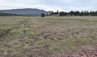 Lot 25a The Ranch At Alpine, Alpine, AZ 85920