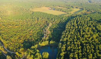 644 Ash-Harrel Loop, Abbeville, GA 31001